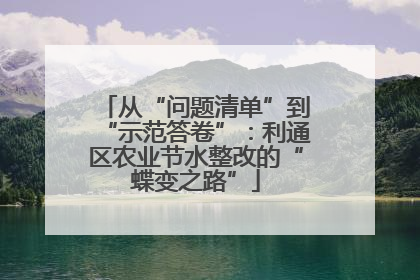 从“问题清单”到“示范答卷”：利通区农业节水整改的“蝶变之路”