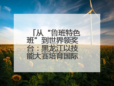 从“鲁班特色班”到世界领奖台：黑龙江以技能大赛培育国际级工匠人才
