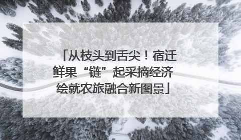 从枝头到舌尖！宿迁鲜果“链”起采摘经济绘就农旅融合新图景