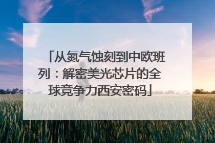 从氮气蚀刻到中欧班列：解密美光芯片的全球竞争力西安密码