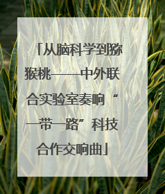 从脑科学到猕猴桃——中外联合实验室奏响“一带一路”科技合作交响曲