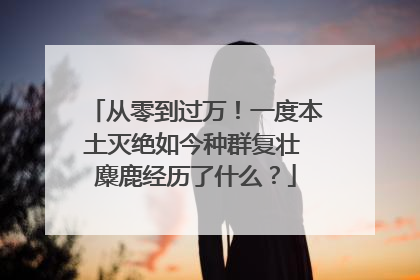 从零到过万！一度本土灭绝如今种群复壮 麋鹿经历了什么？