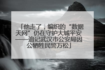 他走了，编织的“数据天网”仍在守护大城平安——追记武汉市公安局因公牺牲民警万松