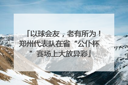 以球会友，老有所为！郑州代表队在省“公仆杯”赛场上大放异彩