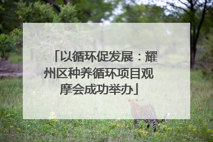 以循环促发展：耀州区种养循环项目观摩会成功举办