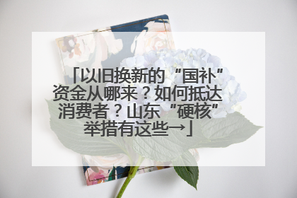 以旧换新的“国补”资金从哪来？如何抵达消费者？山东“硬核”举措有这些→