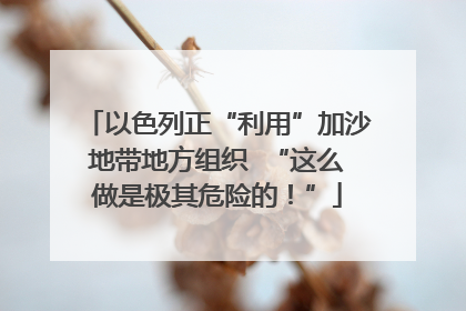 以色列正“利用”加沙地带地方组织  “这么做是极其危险的！”