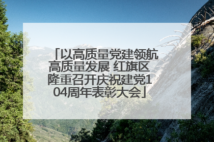 以高质量党建领航高质量发展 红旗区隆重召开庆祝建党104周年表彰大会