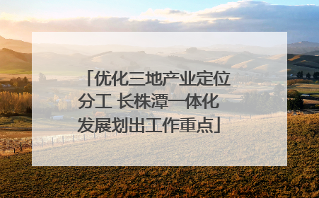 优化三地产业定位分工 长株潭一体化发展划出工作重点