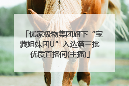 优家极物集团旗下“宝藏姐妹团U”入选第三批优质直播间(主播)