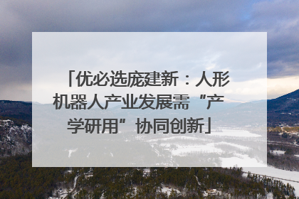 优必选庞建新：人形机器人产业发展需“产学研用”协同创新