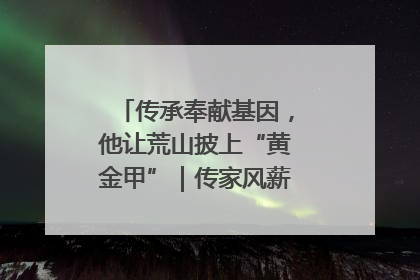 传承奉献基因，他让荒山披上“黄金甲”｜传家风薪火 颂家国情深