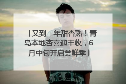 又到一年甜杏熟！青岛本地杏喜迎丰收，6月中旬开启尝鲜季