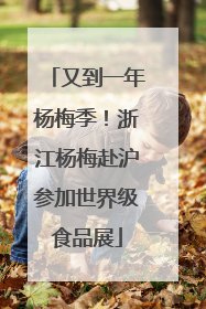 又到一年杨梅季！浙江杨梅赴沪参加世界级食品展