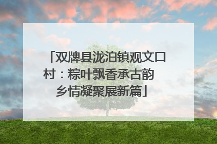 双牌县泷泊镇观文口村：粽叶飘香承古韵 乡情凝聚展新篇