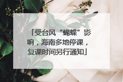 受台风“蝴蝶”影响，海南多地停课，复课时间另行通知