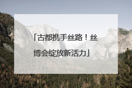古都携手丝路！丝博会绽放新活力