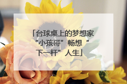 台球桌上的梦想家 “小孩哥”畅想“下一杆”人生