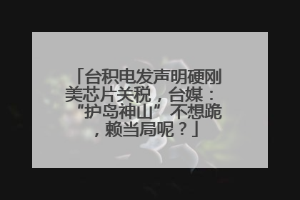 台积电发声明硬刚美芯片关税，台媒：“护岛神山”不想跪，赖当局呢？