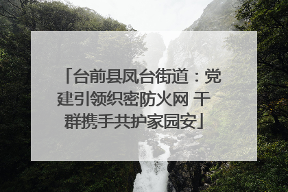 台前县凤台街道：党建引领织密防火网 干群携手共护家园安