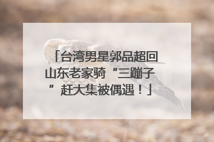 台湾男星郭品超回山东老家骑“三蹦子”赶大集被偶遇！