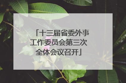 十三届省委外事工作委员会第三次全体会议召开