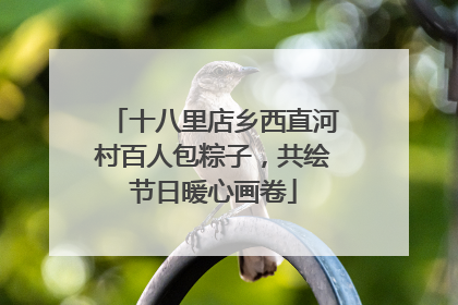 十八里店乡西直河村百人包粽子，共绘节日暖心画卷