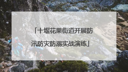 十堰花果街道开展防汛防灾防溺实战演练