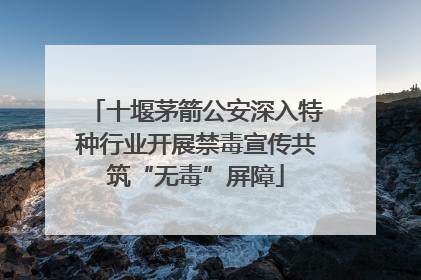 十堰茅箭公安深入特种行业开展禁毒宣传共筑“无毒”屏障