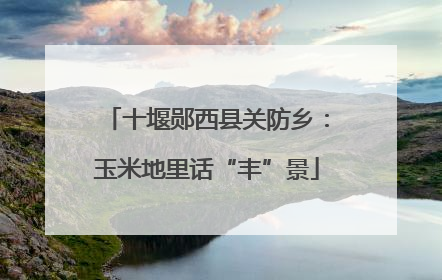 十堰郧西县关防乡：玉米地里话“丰”景