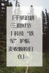 千里追耕·三夏时节丨科技“铁军”护航 麦收颗粒归仓