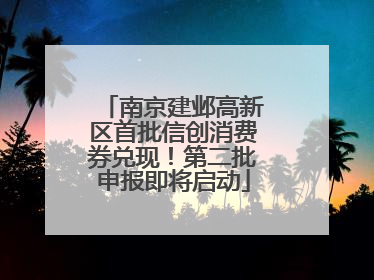 南京建邺高新区首批信创消费券兑现！第二批申报即将启动