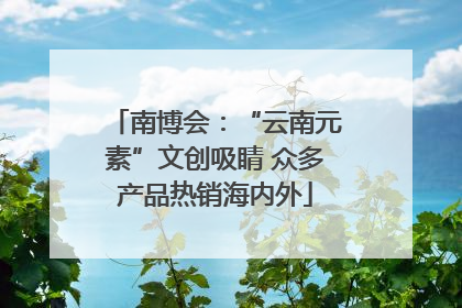 南博会：“云南元素”文创吸睛 众多产品热销海内外
