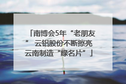 南博会5年“老朋友” 云铝股份不断擦亮云南制造“绿名片”