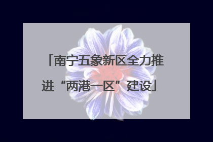 南宁五象新区全力推进“两港一区”建设