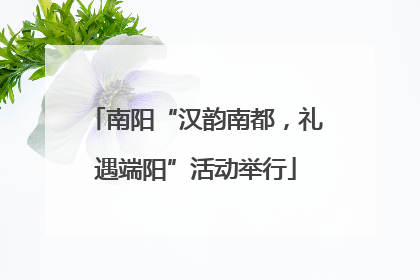 南阳“汉韵南都，礼遇端阳”活动举行