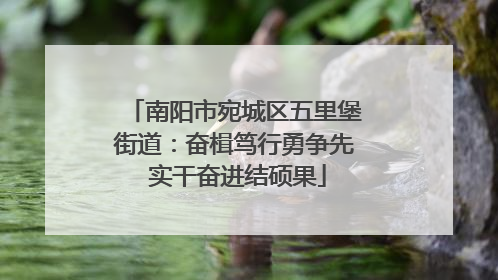 南阳市宛城区五里堡街道：奋楫笃行勇争先 实干奋进结硕果