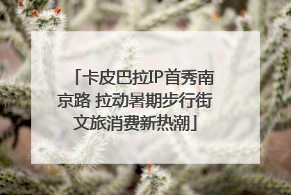 卡皮巴拉IP首秀南京路 拉动暑期步行街文旅消费新热潮