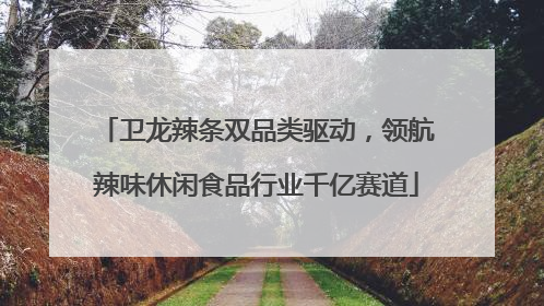 卫龙辣条双品类驱动，领航辣味休闲食品行业千亿赛道