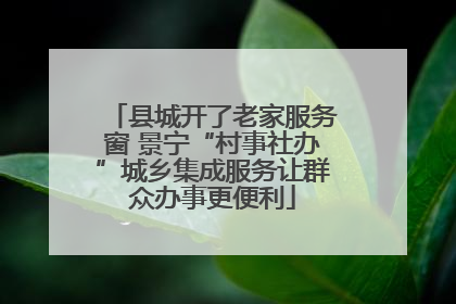 县城开了老家服务窗 景宁“村事社办”城乡集成服务让群众办事更便利