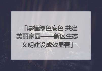 厚植绿色底色 共建美丽家园——新区生态文明建设成效显著