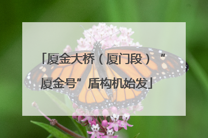 厦金大桥（厦门段）“厦金号”盾构机始发