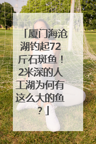 厦门海沧湖钓起72斤石斑鱼！2米深的人工湖为何有这么大的鱼？