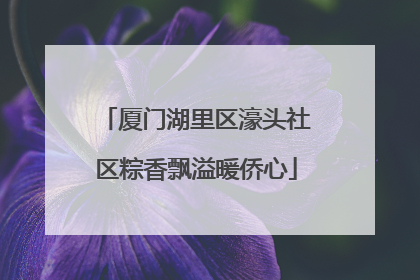 厦门湖里区濠头社区粽香飘溢暖侨心