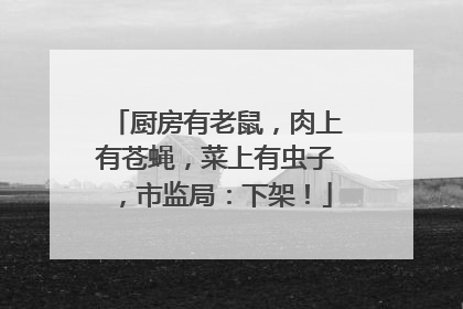 厨房有老鼠，肉上有苍蝇，菜上有虫子，市监局：下架！