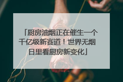 厨房油烟正在催生一个千亿级新赛道！世界无烟日里看厨房新变化
