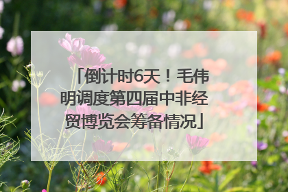 倒计时6天！毛伟明调度第四届中非经贸博览会筹备情况