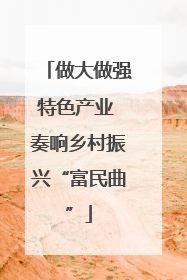 做大做强特色产业 奏响乡村振兴“富民曲”
