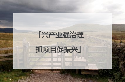 兴产业强治理 抓项目促振兴
