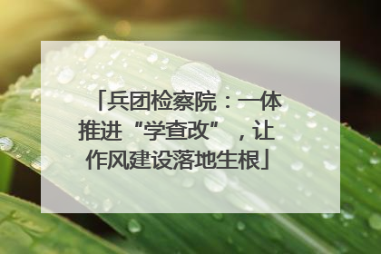 兵团检察院：一体推进“学查改”，让作风建设落地生根